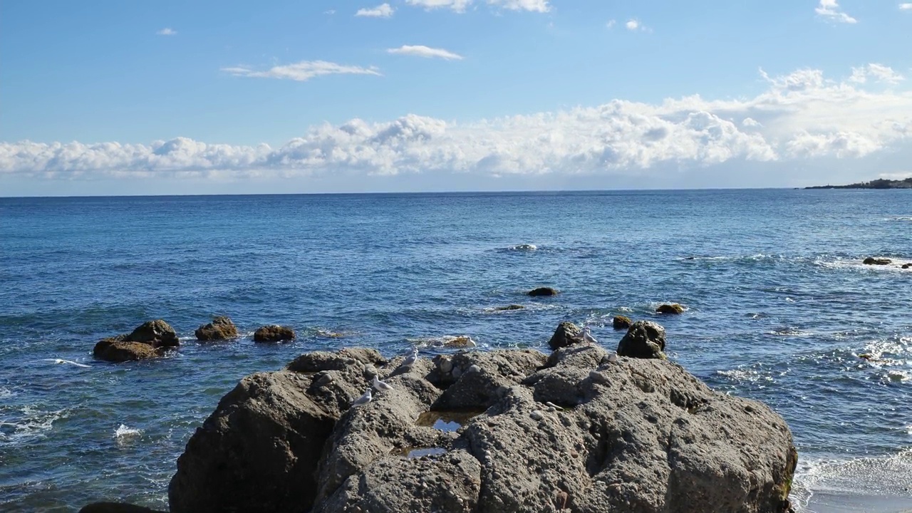 成群的海鸥飞近爱奥尼亚海的卵石海滩。一群年轻的海鸥在海边。自然美。视频素材