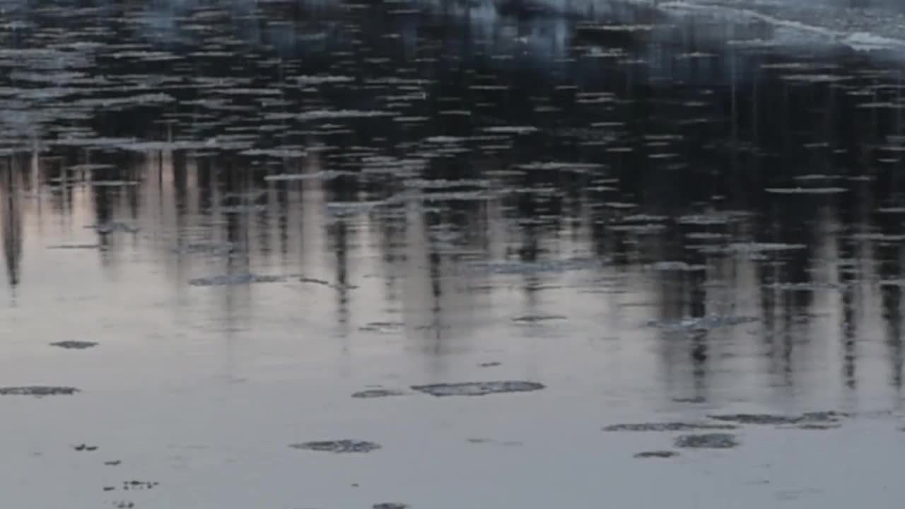 浮冰，沿着河流移动，浮冰，冬季景观，森林中的河流视频下载