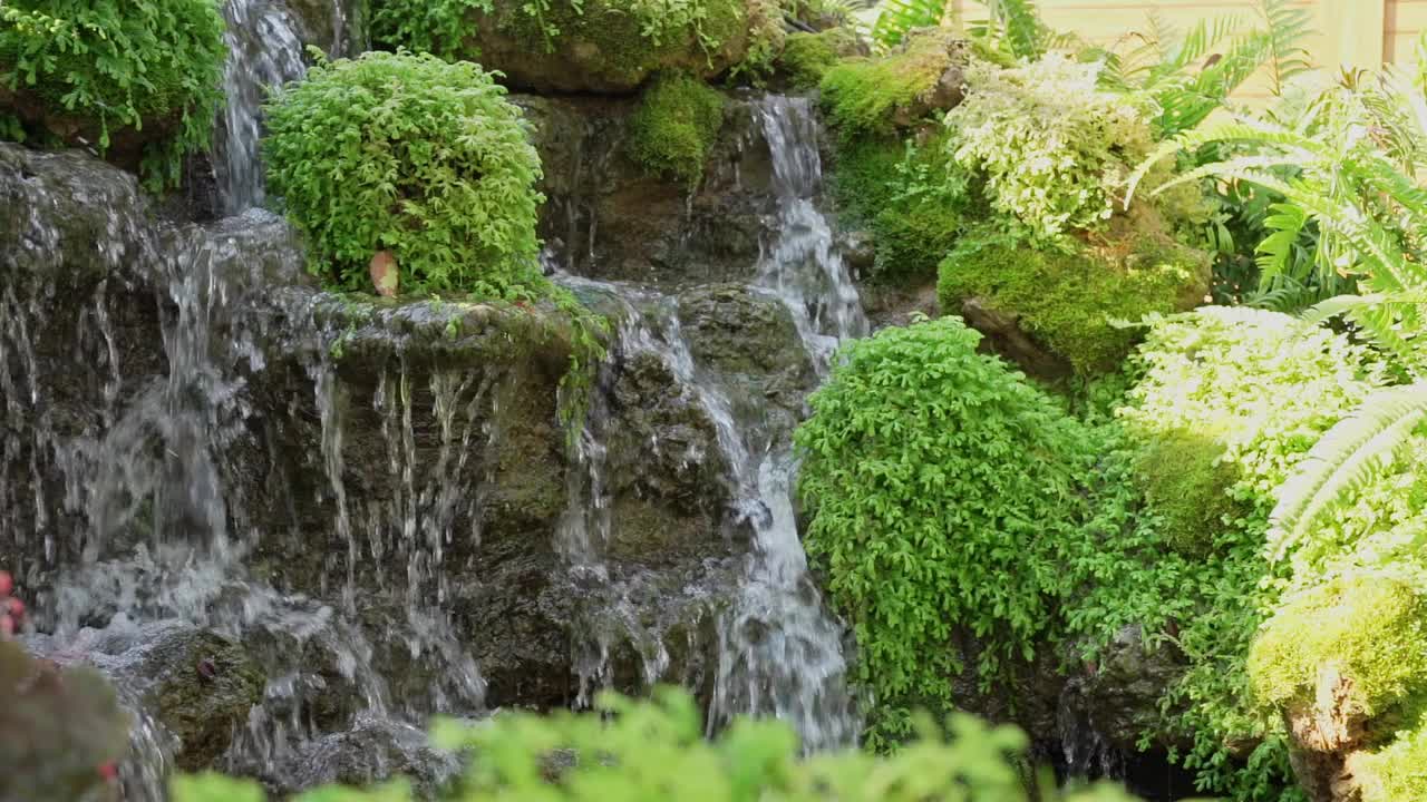 公园或花园中装饰性的小瀑布。景观设计。热带花园用小绿色植物装饰的瀑布喷泉视频素材