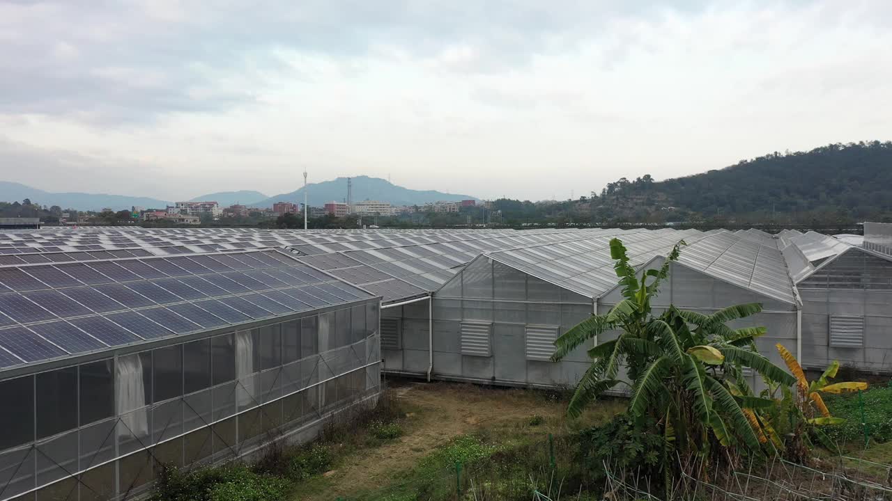 蔬菜种植基地和光伏电站视频素材