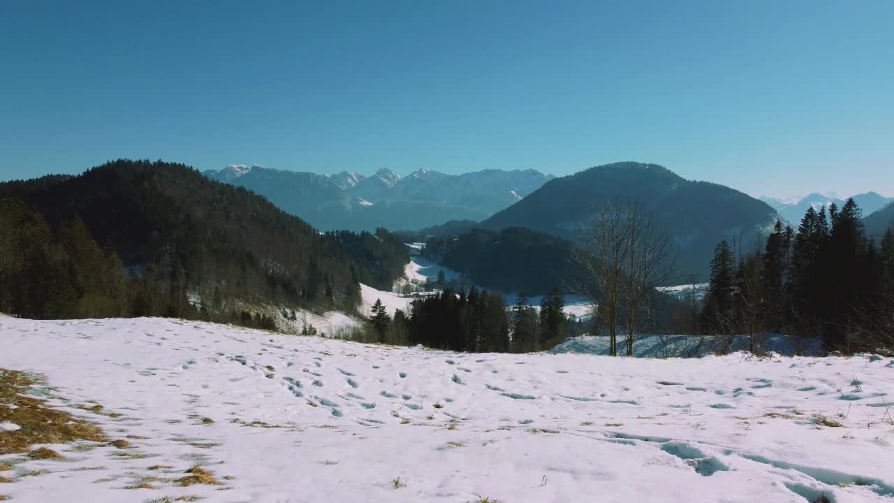 风景山顶冬季森林无人机飞行在冰天雪地的树顶在巴伐利亚，德国阿尔卑斯山梦幻的天然冰森林。从上方鸟瞰雪树。贝希特斯加登自然户外远足视频素材