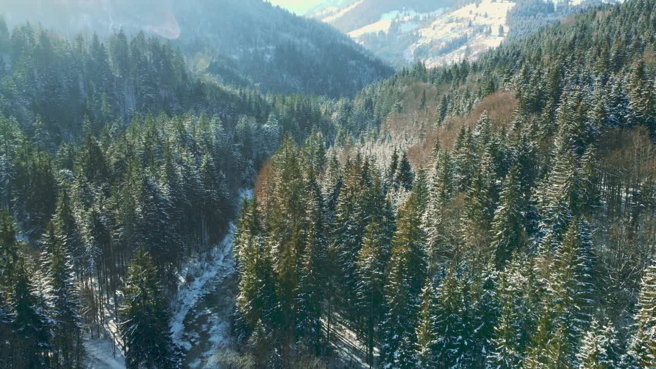 风景山顶冬季森林无人机飞行在冰天雪地的树顶在巴伐利亚，德国阿尔卑斯山梦幻的天然冰森林。从上方鸟瞰雪树。贝希特斯加登自然户外远足视频素材