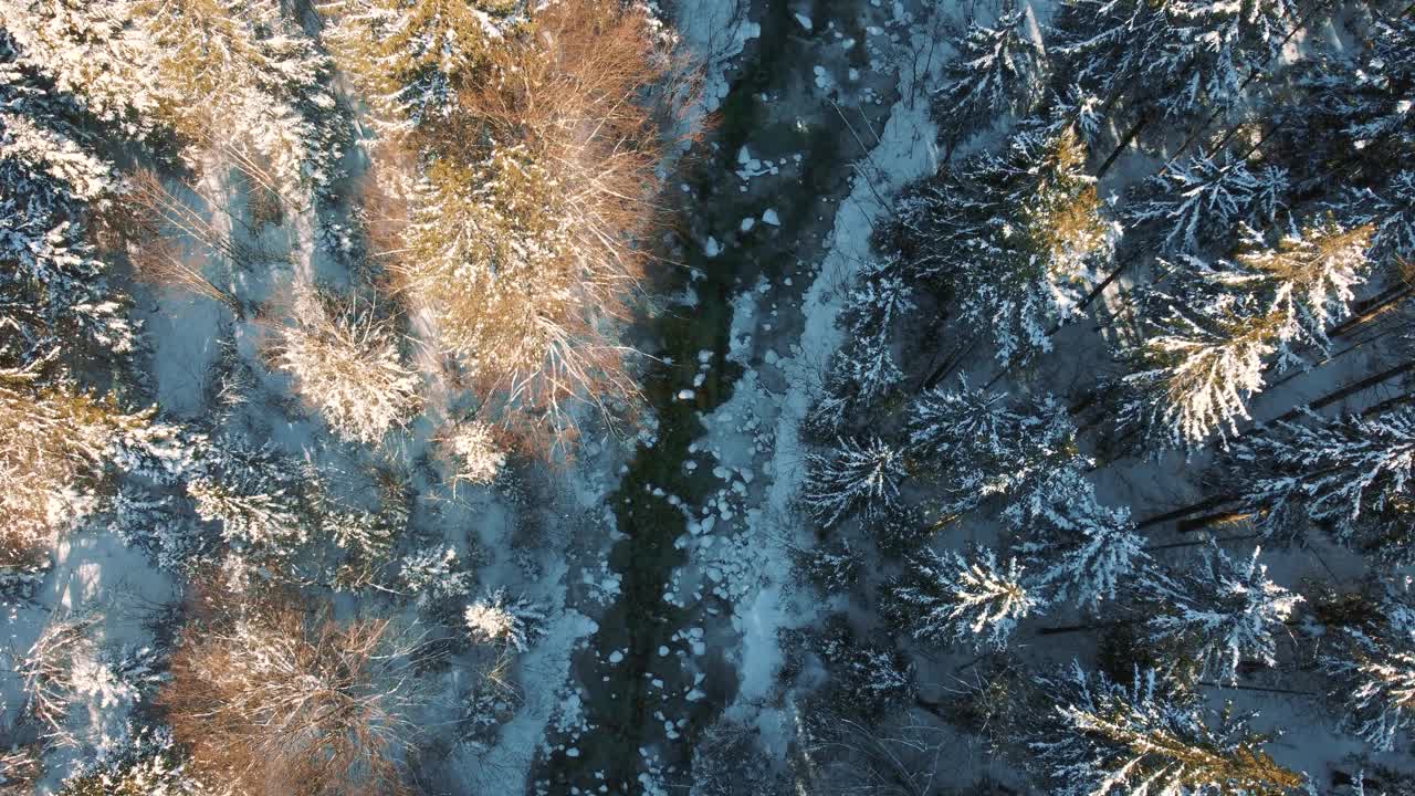 风景山顶冬季森林无人机飞行在冰天雪地的树顶在巴伐利亚，德国阿尔卑斯山梦幻的天然冰森林。从上方鸟瞰雪树。贝希特斯加登自然户外远足视频素材