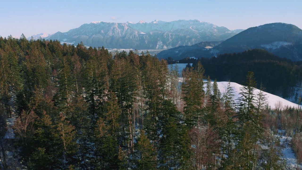 风景山顶冬季森林无人机飞行在冰天雪地的树顶在巴伐利亚，德国阿尔卑斯山梦幻的天然冰森林。从上方鸟瞰雪树。贝希特斯加登自然户外远足视频素材