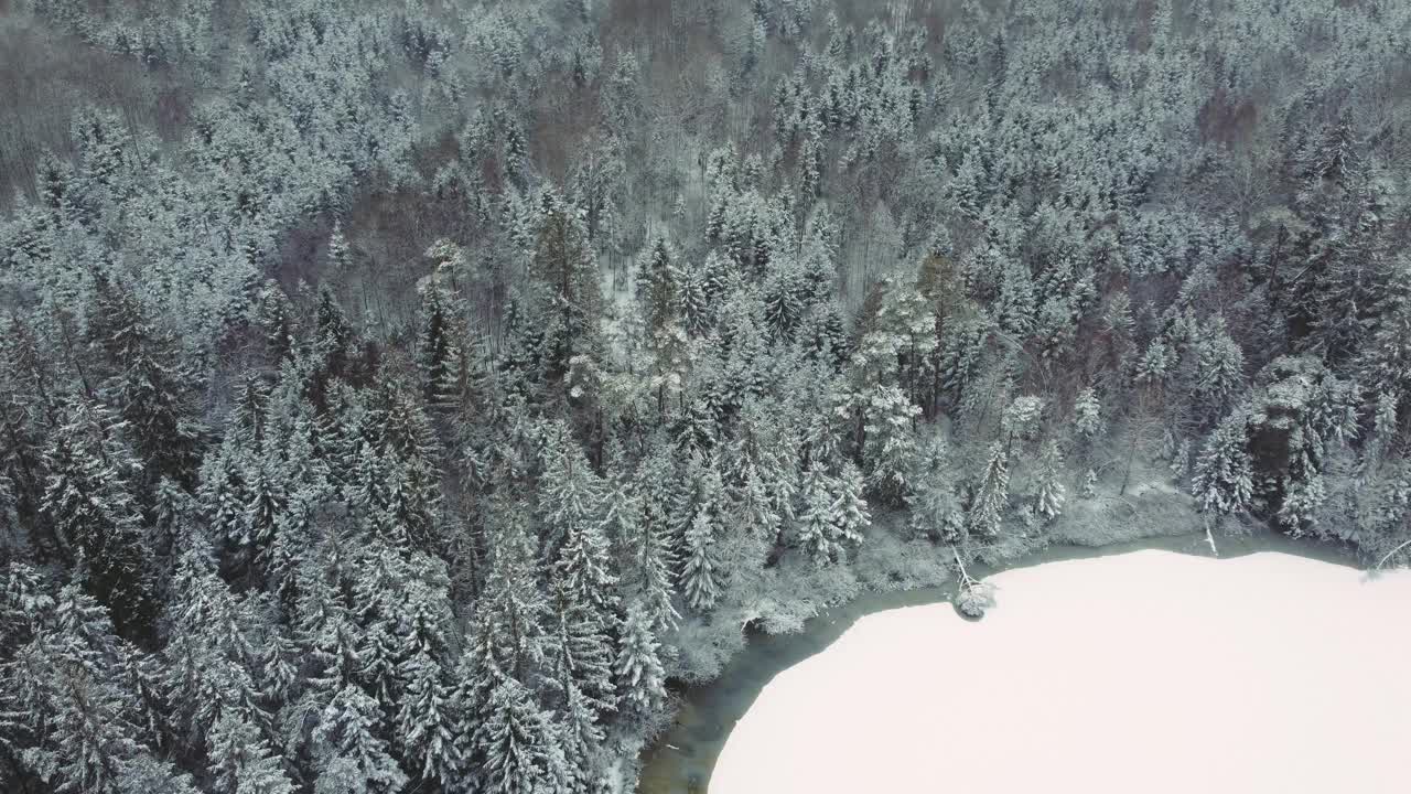 风景如画的冬季森林无人机飞行沿着冰天雪地的树顶在巴伐利亚，德国。绿色的雪树可以从鸟瞰图上看到。大自然户外4K超高清视频素材