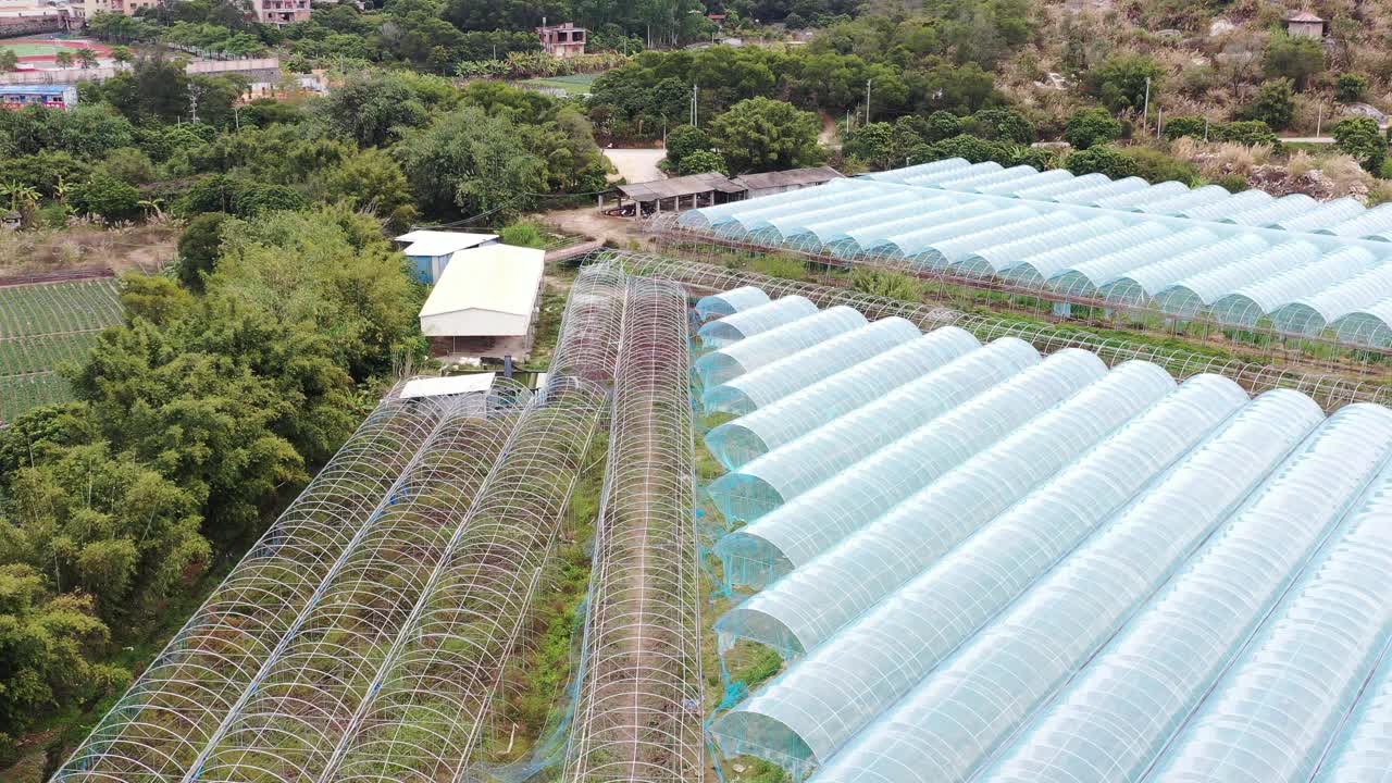 蔬菜种植温室视频素材