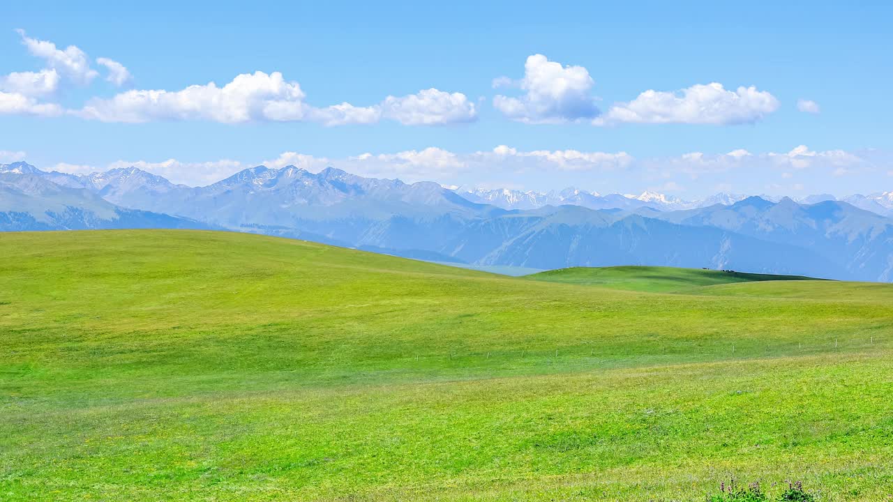 新疆的绿色草原和山景视频素材