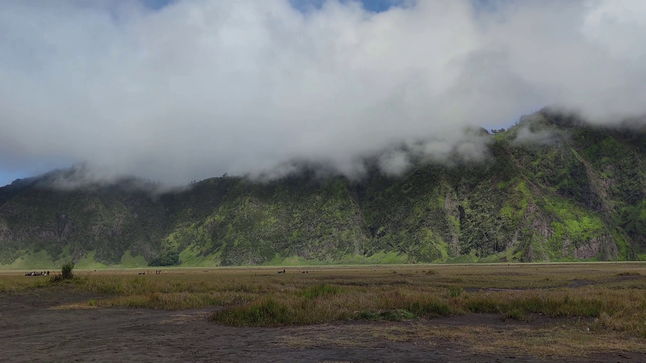 青山观景视频下载