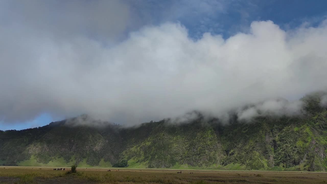 青山视频素材