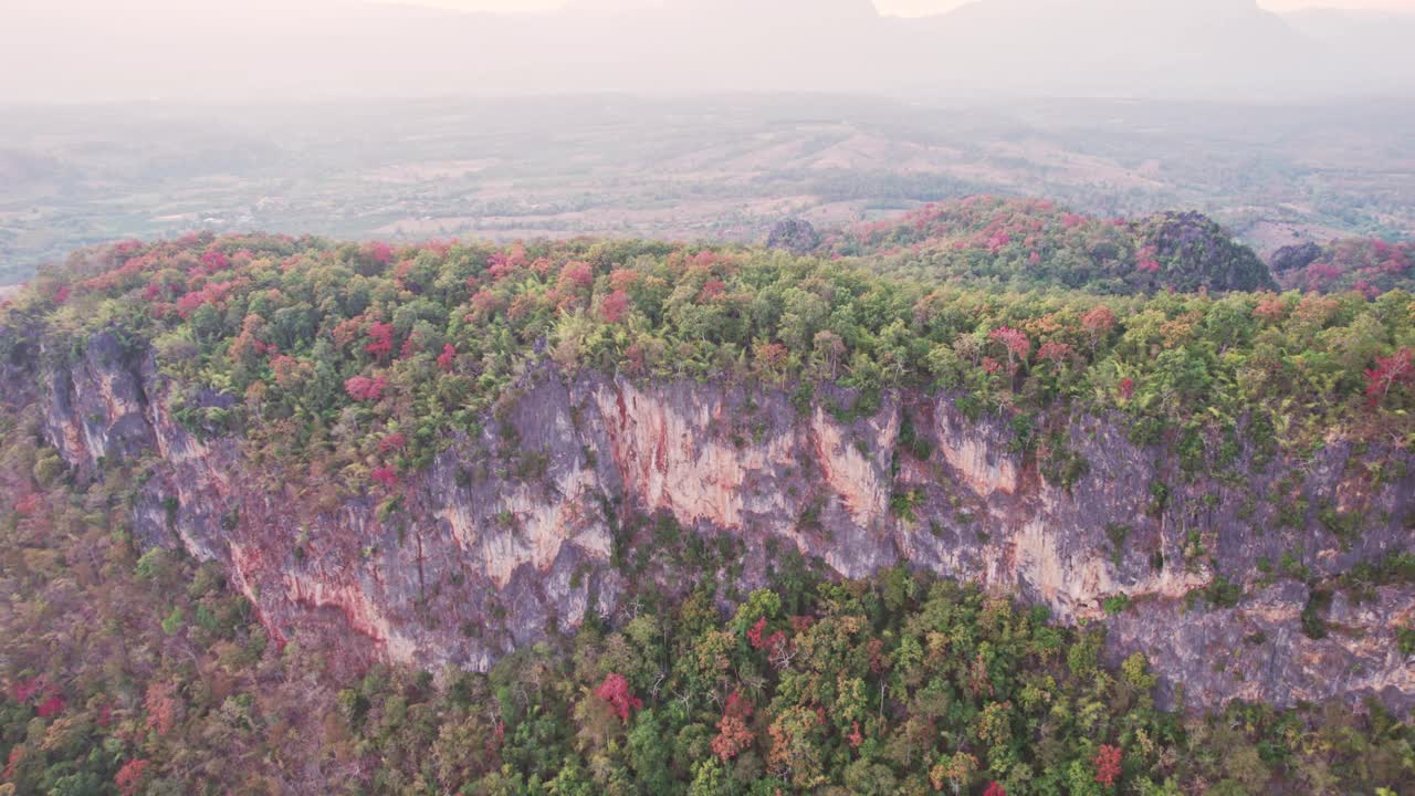 鸟瞰Doi Luang Chiang Dao山峰和乡村石灰岩山上的彩色森林视频素材