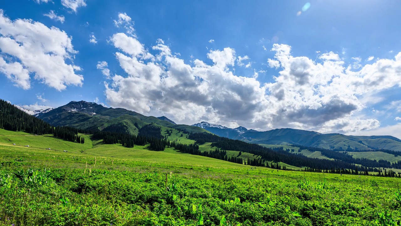 新疆那拉提草原和山地自然景观视频素材