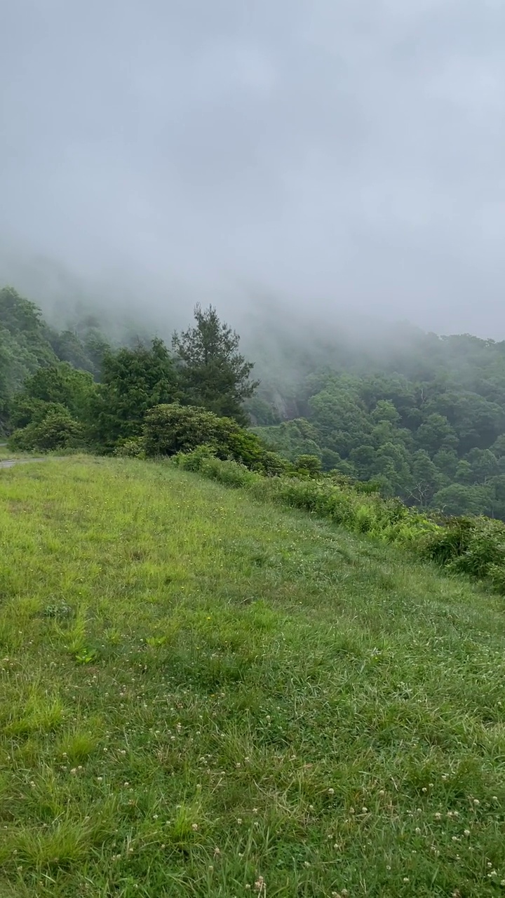 蓝岭公园道路树木山坡和山脉与悬挂的云和雾视频素材