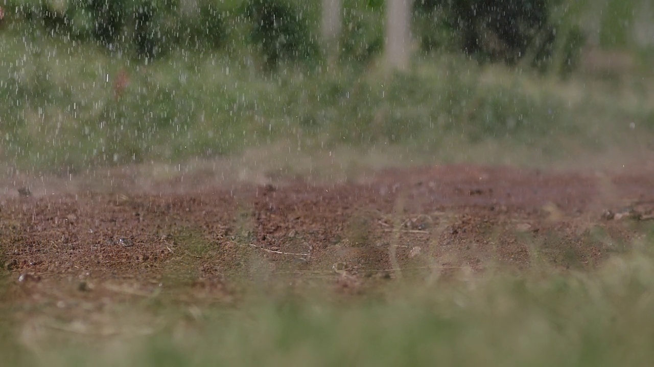 热带雨滴溅落在地上。水滴落在地上。雨滴落在草地上的沙地上。自然环境。用ARRI ALEXA相机拍摄的慢镜头。视频素材