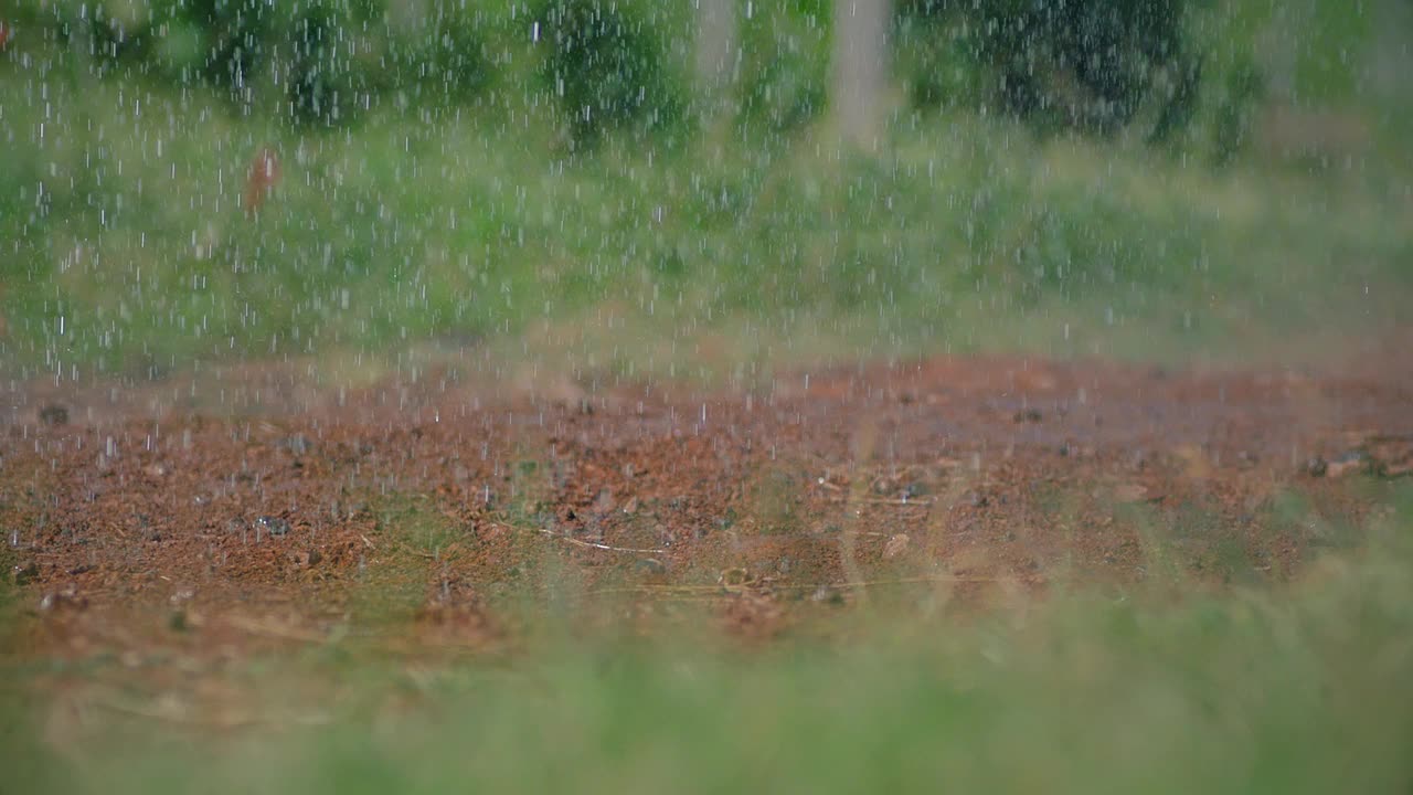 热带雨滴溅落在地上。水滴落在地上。雨滴落在草地上的沙地上。自然环境。用ARRI ALEXA相机拍摄的慢镜头。视频素材