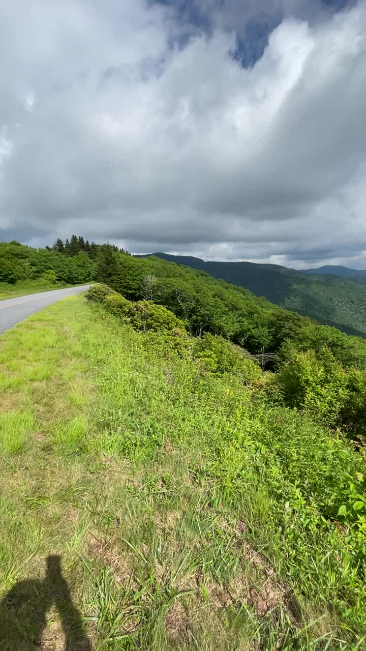 蓝岭公园路山景与橙色杜鹃花视频素材