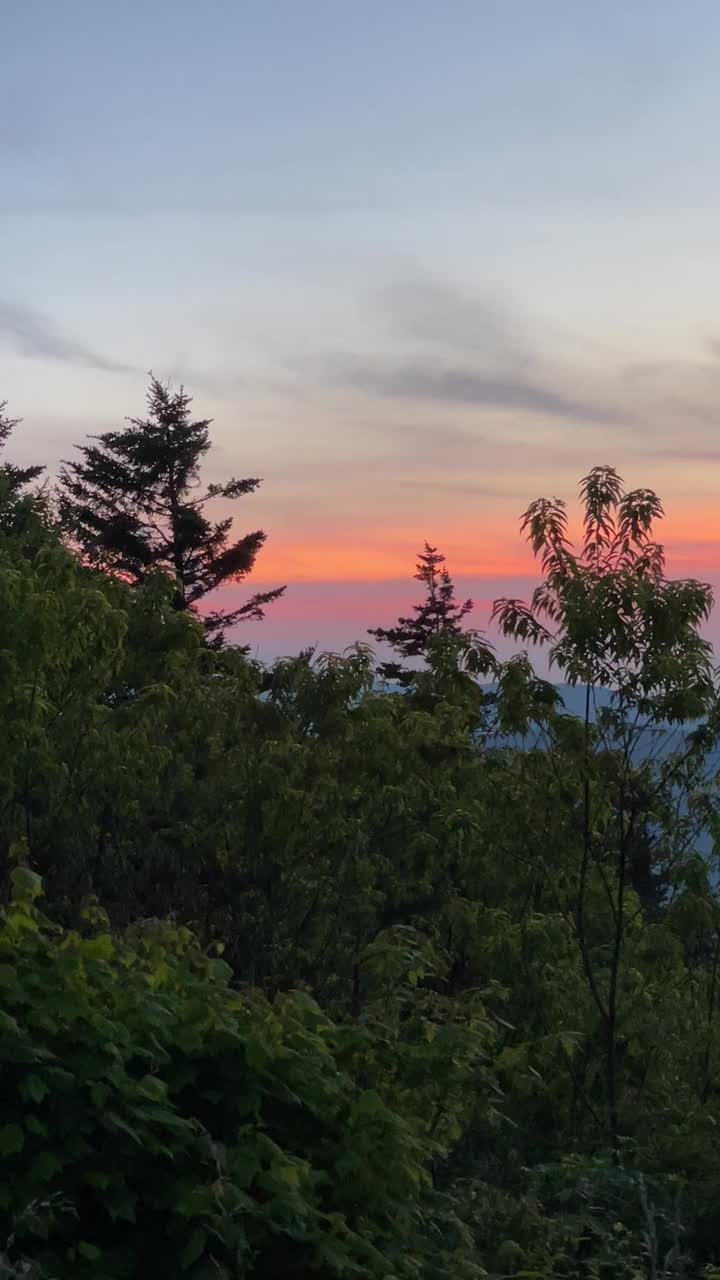 大烟山彩霞日落与树木视频素材