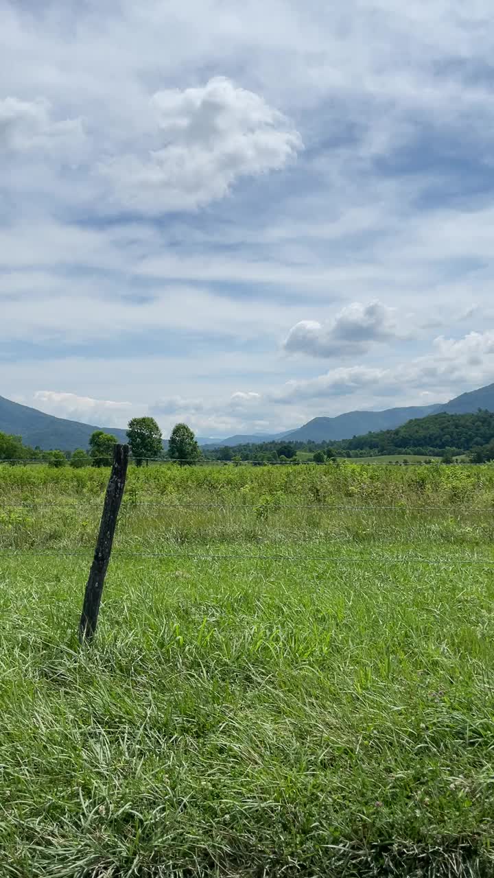 大烟山田野，树木，山脊在夏天视频下载