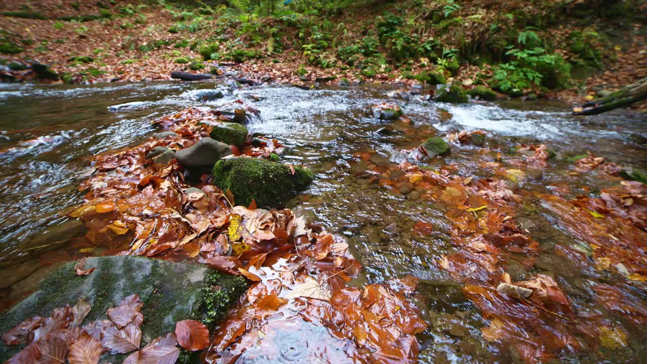 山河带着秋叶视频素材