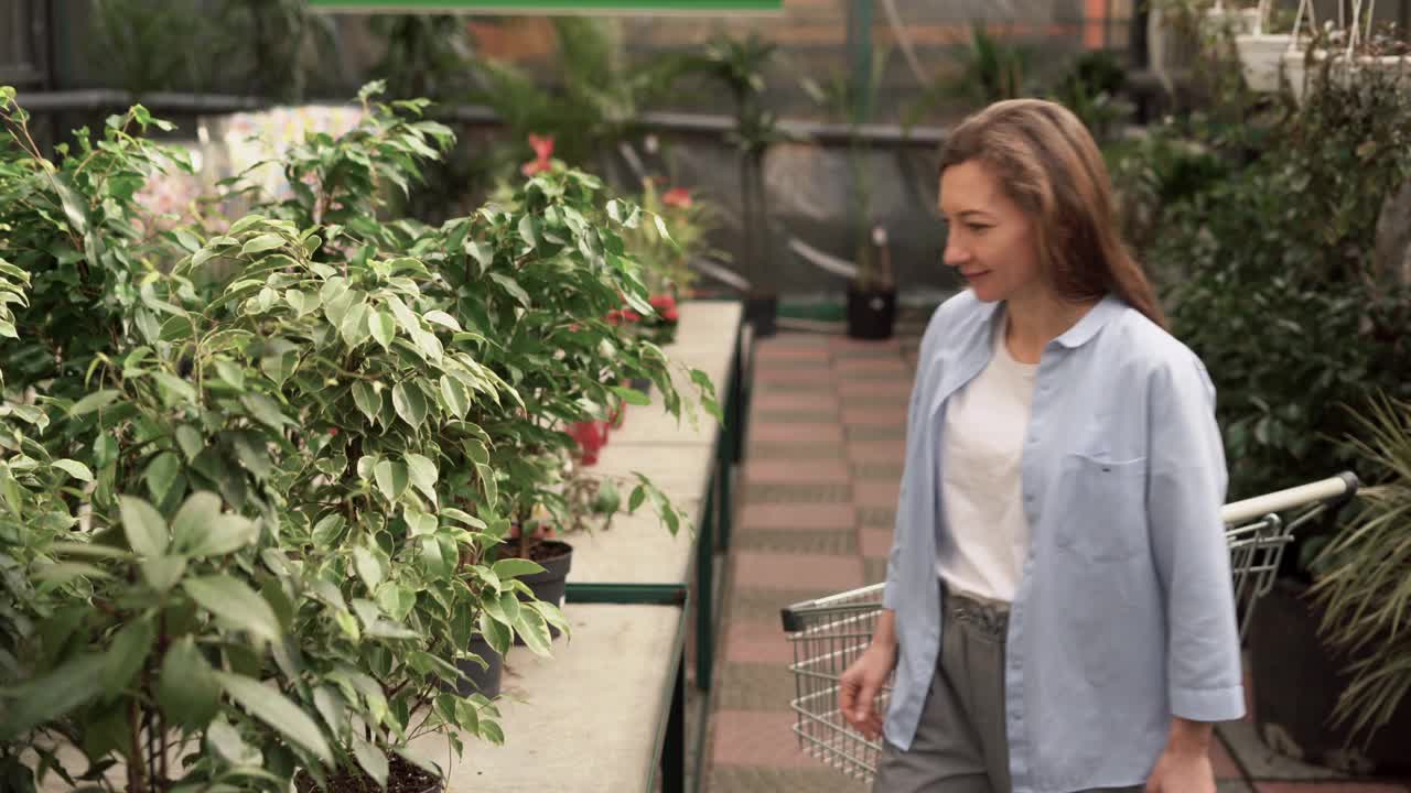 穿着休闲服装的漂亮白人妇女在超市买了一盆室内盆栽植物。摘一棵落叶榕在两棵树之间选择视频素材