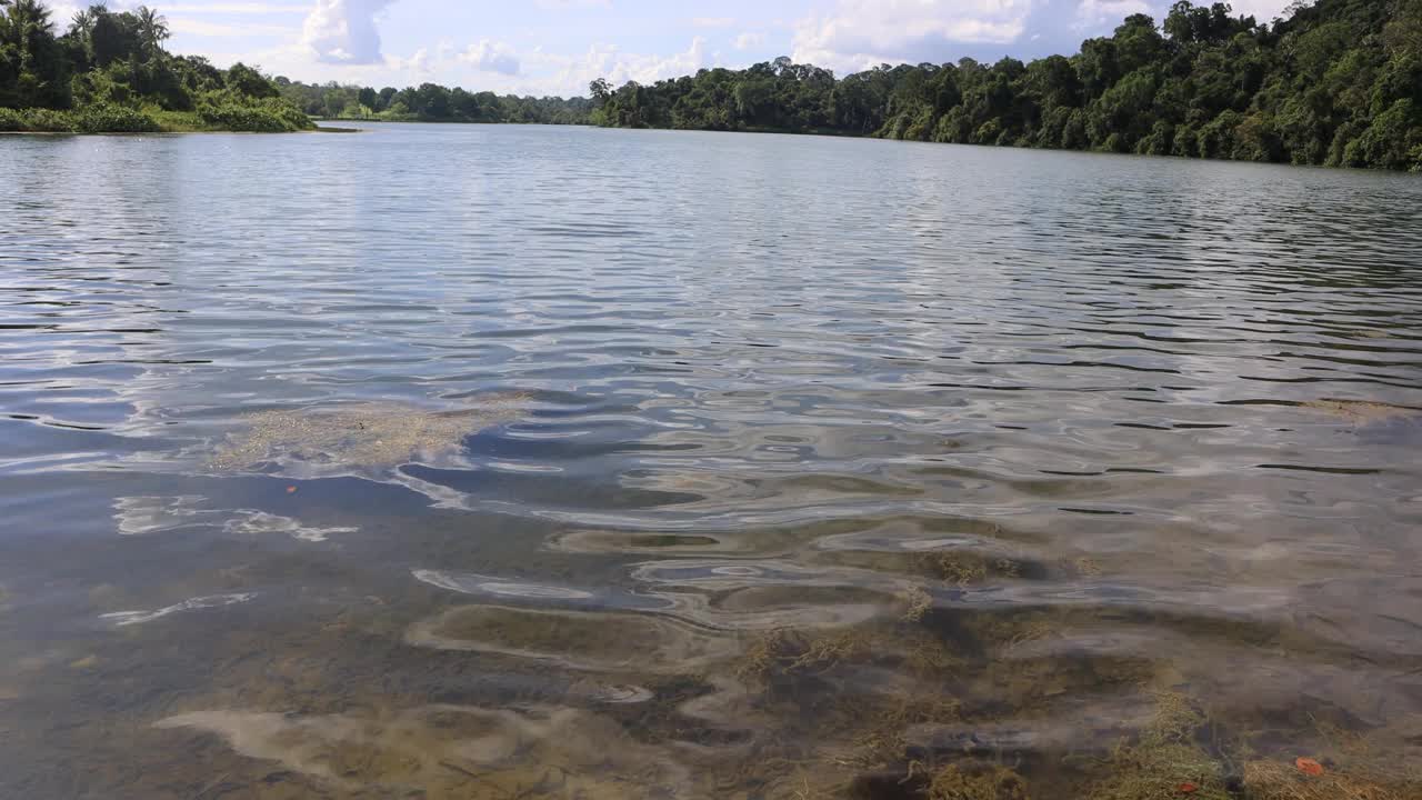 平静的水，水库视频素材