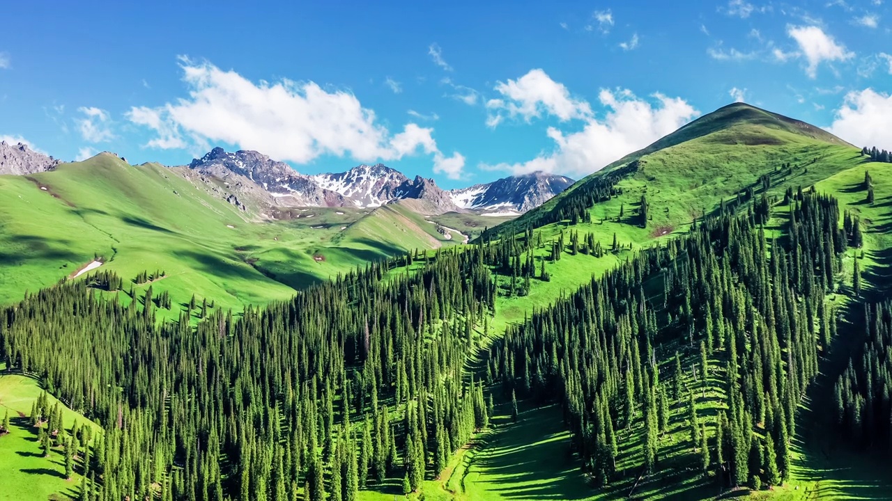 新疆有绿色的草原和山林景观视频素材