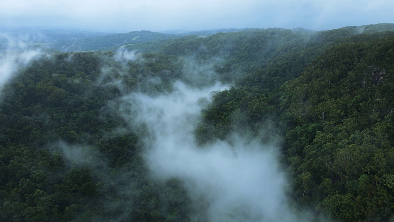 在腹地山脉之上的热带丛林峡谷上形成的浓雾。高无人机视图视频素材