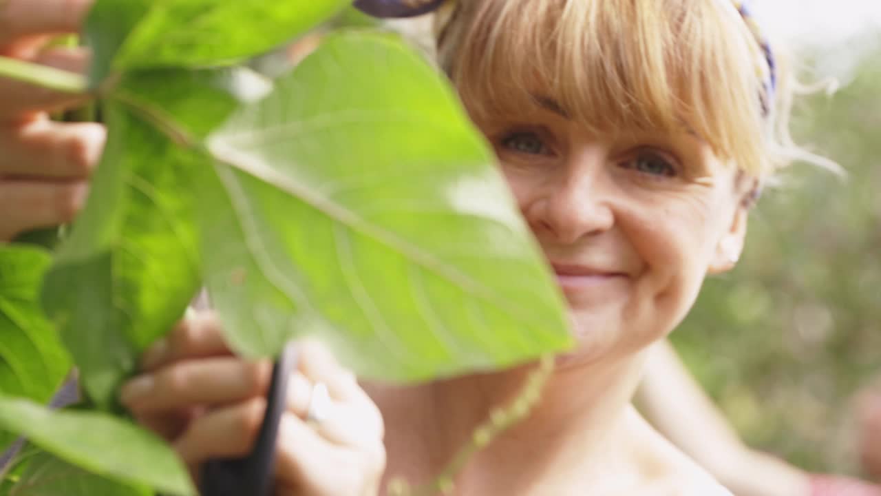 特写肖像快乐的女人修剪植物在阳光明媚的花园视频素材