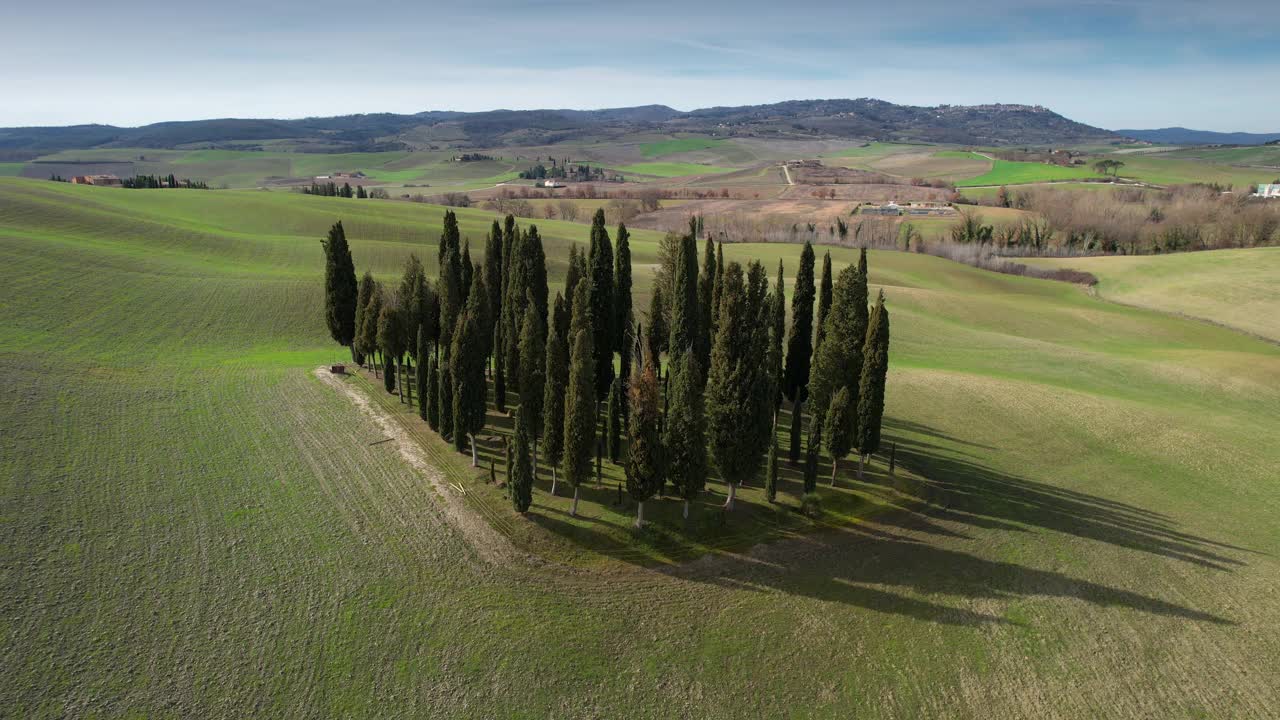 圣基里科附近托斯卡纳的一群柏树。圆形鸟瞰图，柏树在Val D'Orcia，意大利视频素材