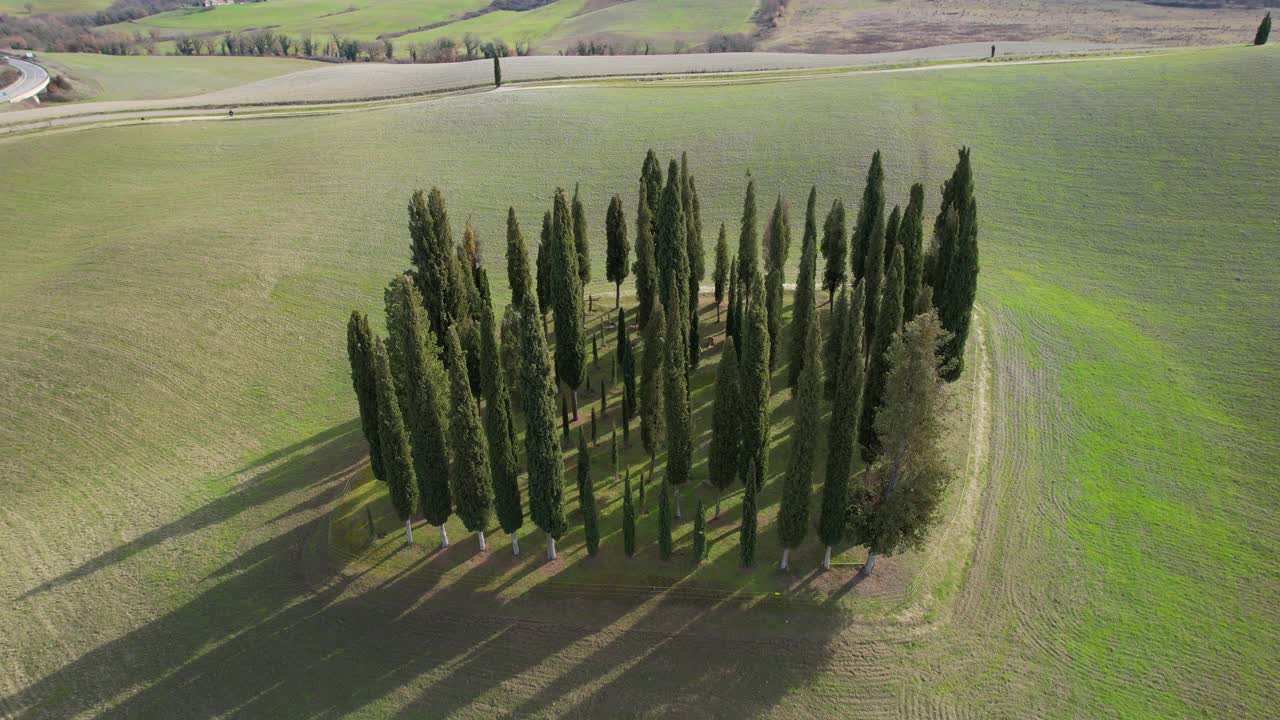 圣基里科附近托斯卡纳的一群柏树。圆形鸟瞰图，柏树在Val D'Orcia，意大利视频素材