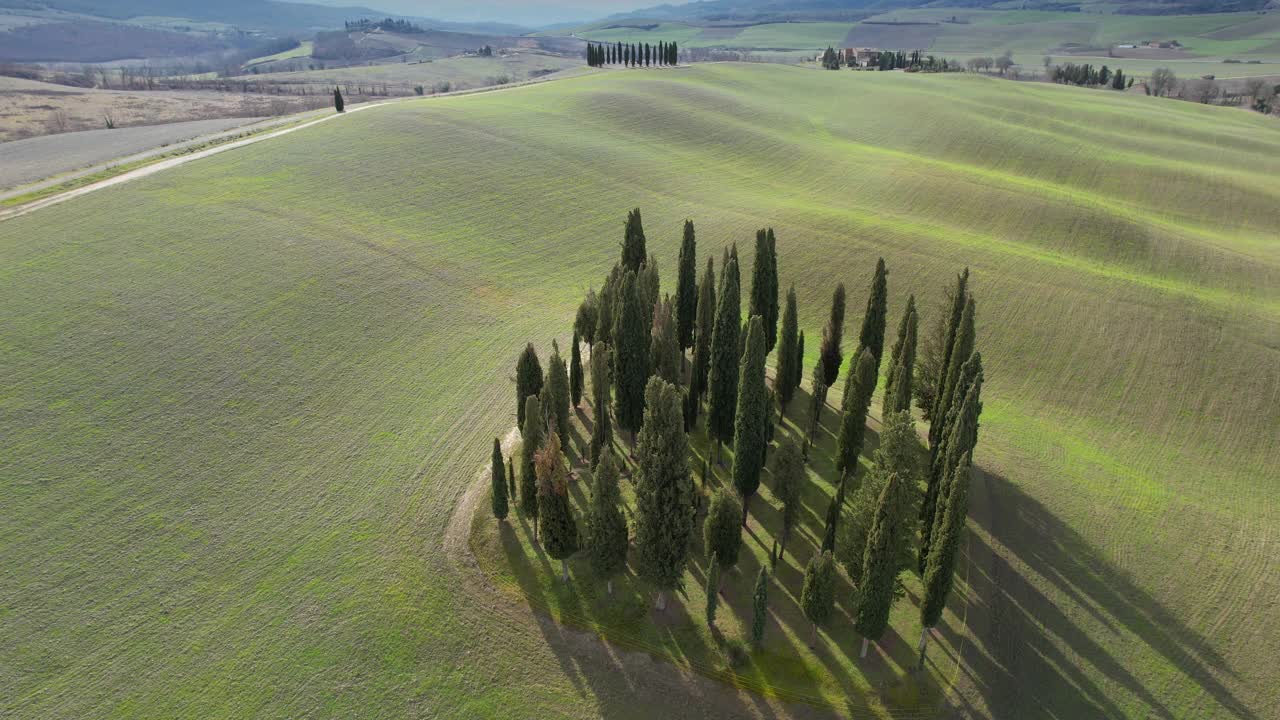 圣基里科附近托斯卡纳的一群柏树。圆形鸟瞰图，柏树在Val D'Orcia，意大利视频素材