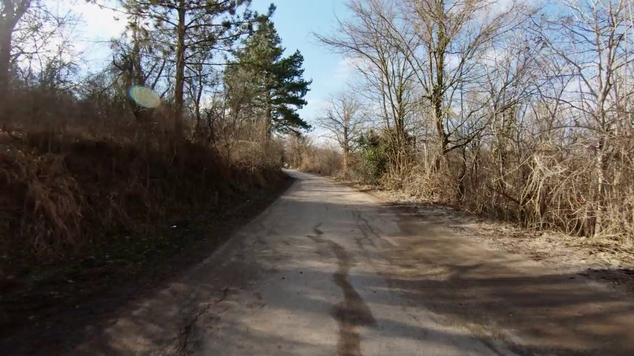 在绿树成荫的旧柏油路上，慢慢地骑上摩托车或汽车。阳光穿透树枝，产生透镜光晕效果。阳光灿烂的冬日。观点拍摄视频素材