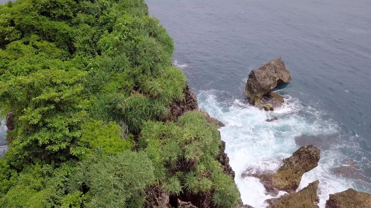 无人机拍摄的珊瑚岛被绿树覆盖，被热带海滩的海浪拍打着。视频素材