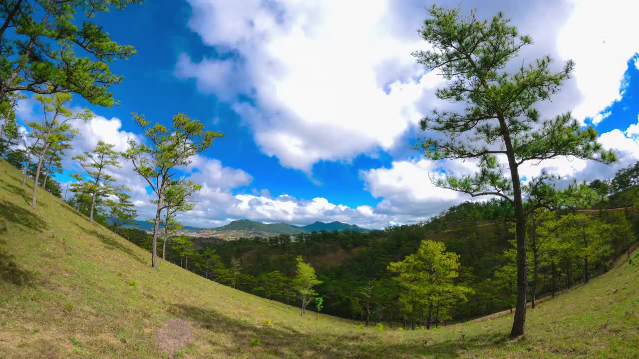 云朵随着松林在山上移动的时间推移视频素材