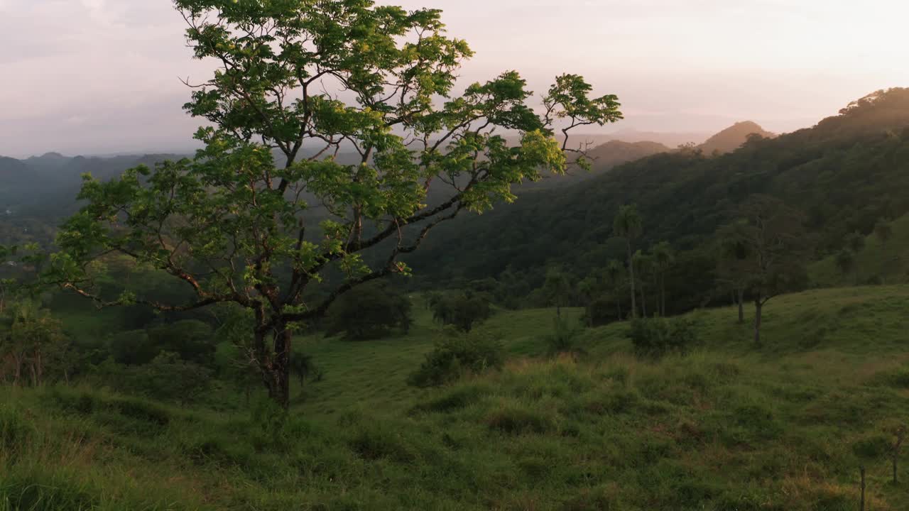 Monteverde国家公园/云雾森林风景优美，在哥斯达黎加，有郁郁葱葱、充满活力的绿色热带雨林山丘。热带雨林是淡水和清洁空气的重要来源。无人机鸟瞰壮观的天空日落在4K超高清。视频素材