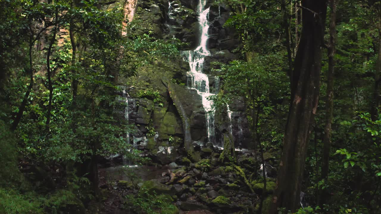 Monteverde国家公园/哥斯达黎加云雾森林风景如画的瀑布自然景观，有郁郁葱葱、充满活力的绿色热带雨林树木。热带雨林是淡水和清洁空气的重要来源。无人机鸟瞰4K超高清。视频素材