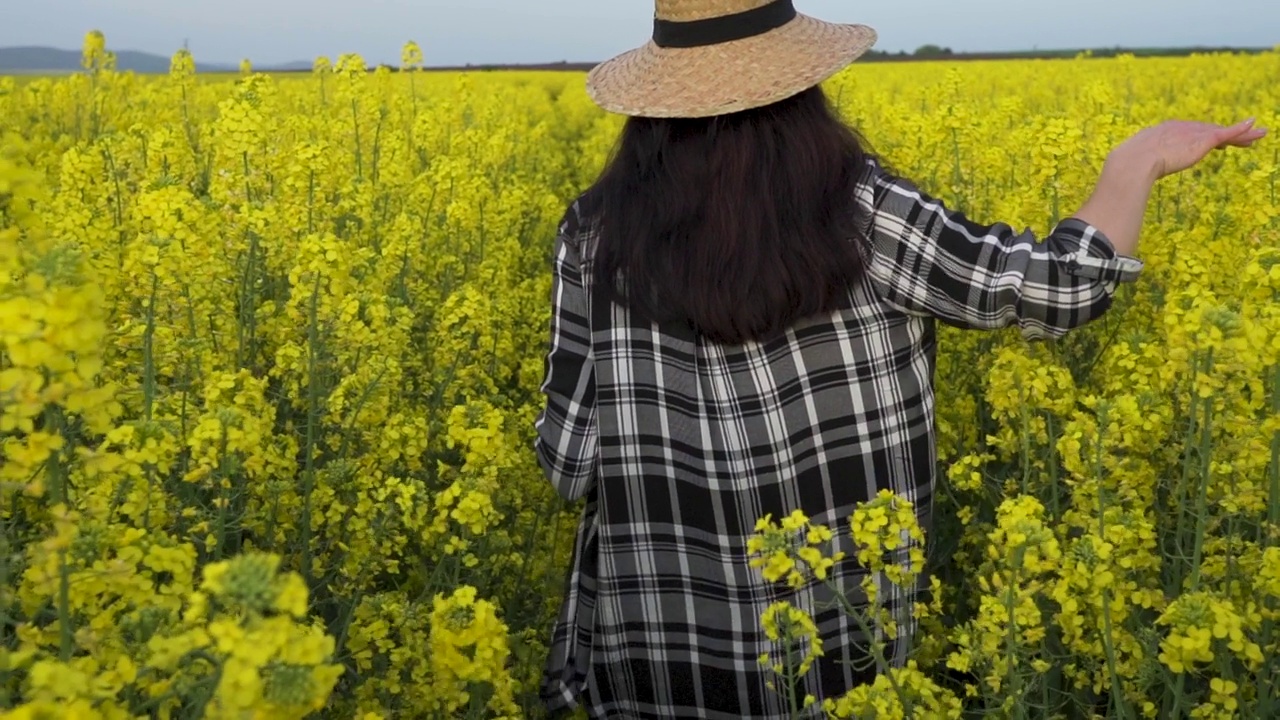 一个女人的后视图与草帽走在油菜籽田视频素材