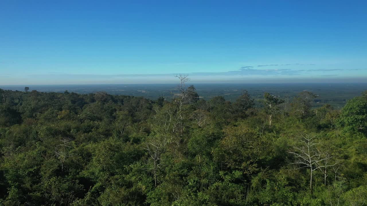 鸟瞰在泰国布昂坎省的富星山，三只鲸鱼在摇摆视频素材