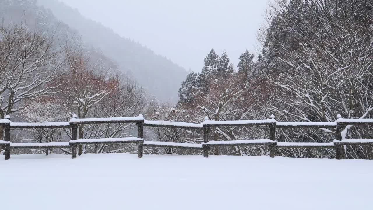 大量的粉状雪继续落在农村视频素材