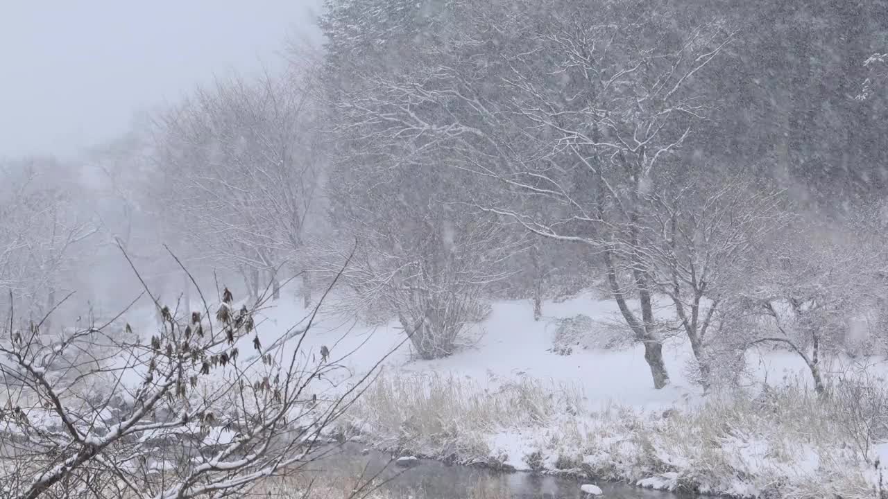 大量的粉状雪继续落在农村视频素材