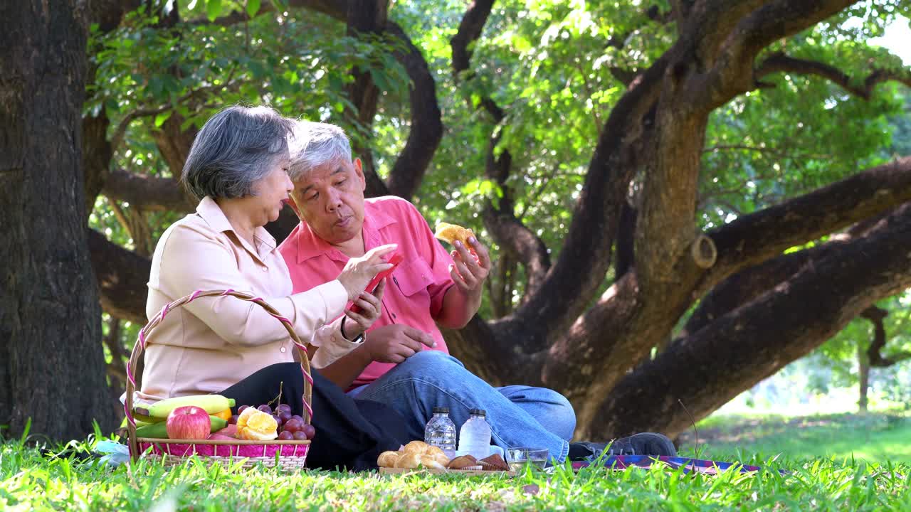 幸福的老夫妻在公园里放松，坐在毯子上分享珍贵的回忆。一对老夫妇在一起野餐。成熟关系的概念视频素材