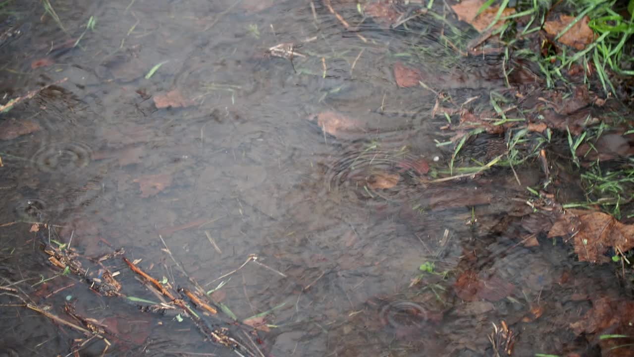 秋天的雨水落在柏油路上的大水坑里，淹没了街道。视频素材