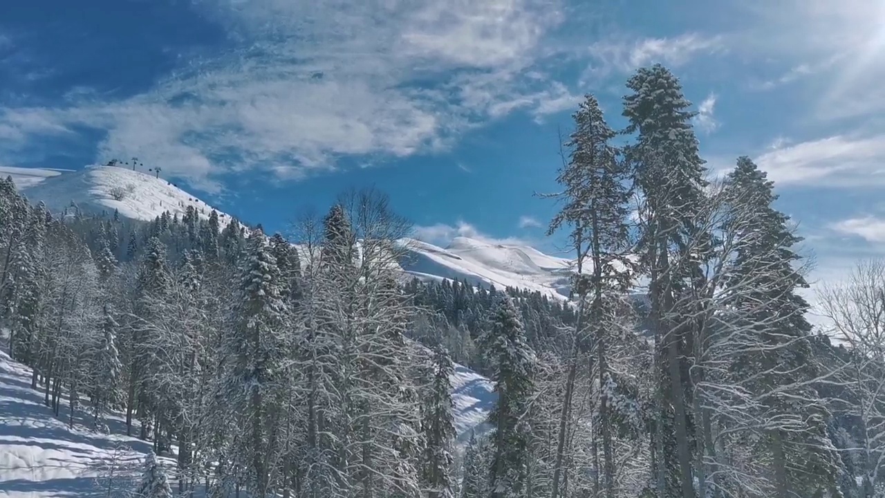 美丽的风景。移动相机。森林、山脉、雪。视频下载