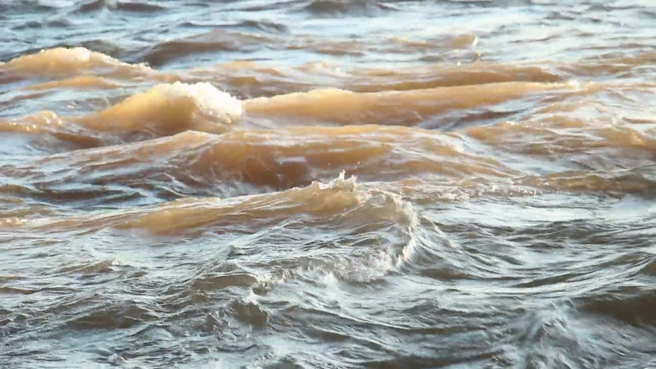 野生泥泞的河视频素材