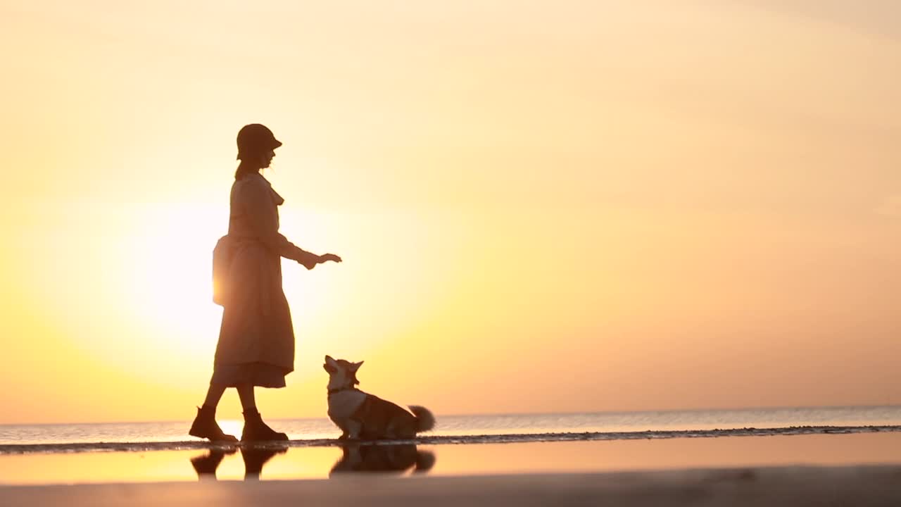 女人和宠物在黄昏日落和享受生活方式spbi在海滩上的乐趣视频素材