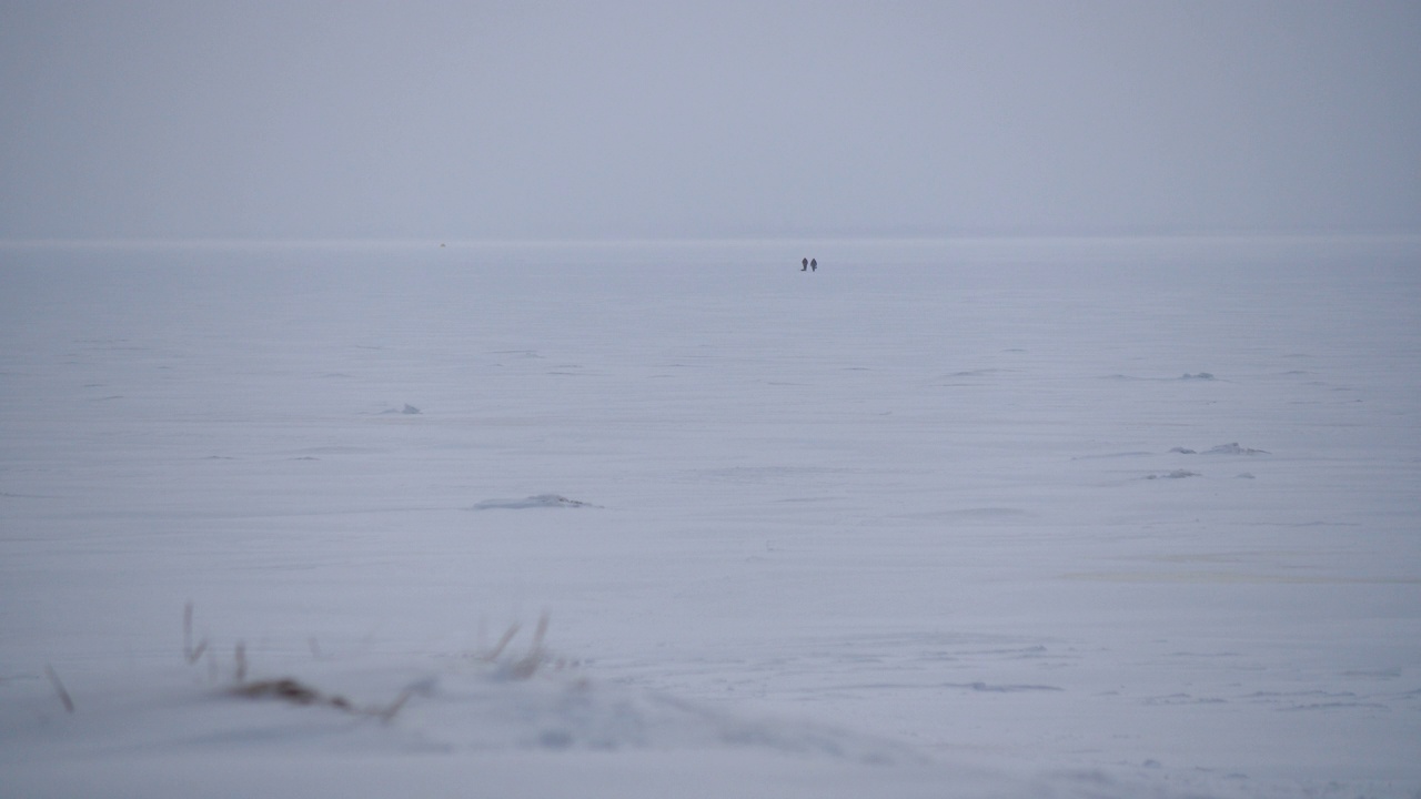 全景图:两个人走在冰雪覆盖的波罗的海上视频素材