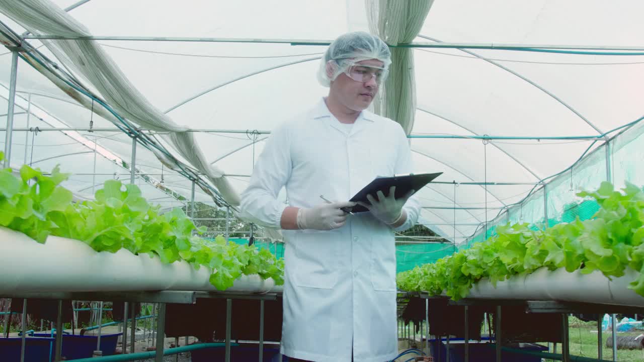 亚洲科学家和聪明的园丁一起在种植园的温室工作。清洁食品与食品科学理念。视频下载