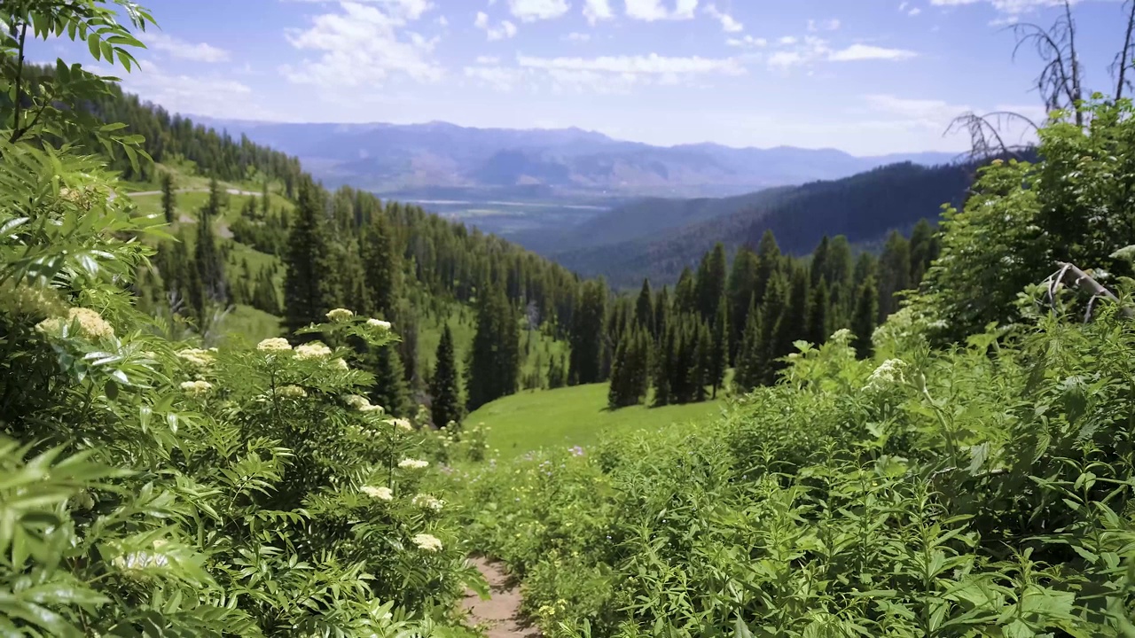 无人机拍摄的黄石国家公园山脉和山谷的全景。2021年7月视频素材