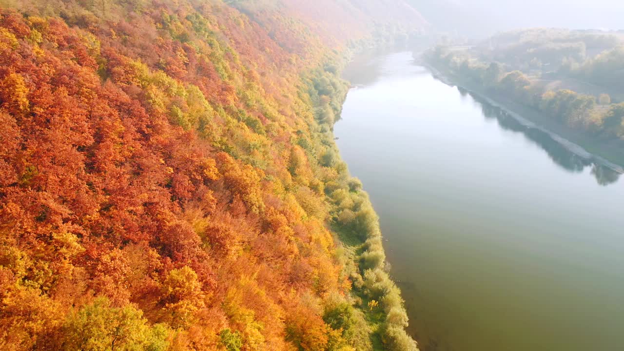 在阳光明媚的日子里，从鸟瞰多姿多彩的森林的壮丽景色。视频素材