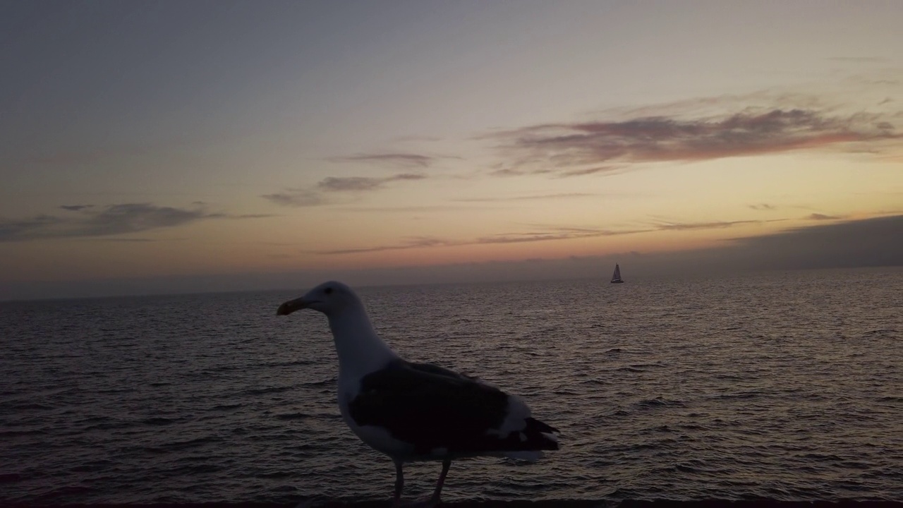 海岸线附近美丽的日落。大海倒映着云景和令人惊叹的日落视频素材