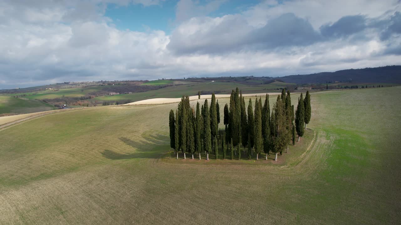 在托斯卡纳的绿色山丘的柏树群在春天。圆形鸟瞰图，柏树在Val D'Orcia，意大利。视频素材